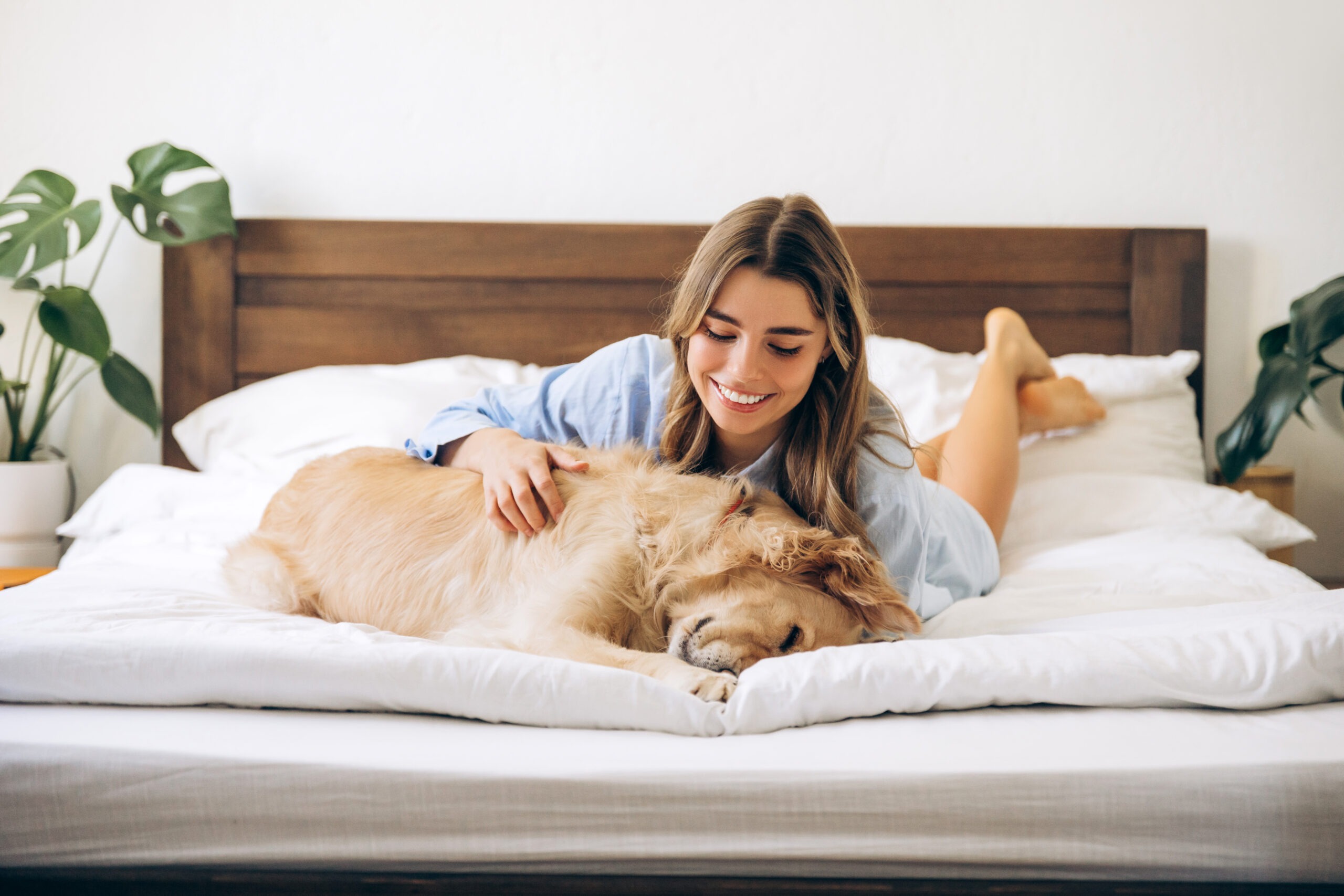 Hund im Bett, Hund im Bett: Kuschelalarm oder Hygieneproblem? Was du wissen solltest