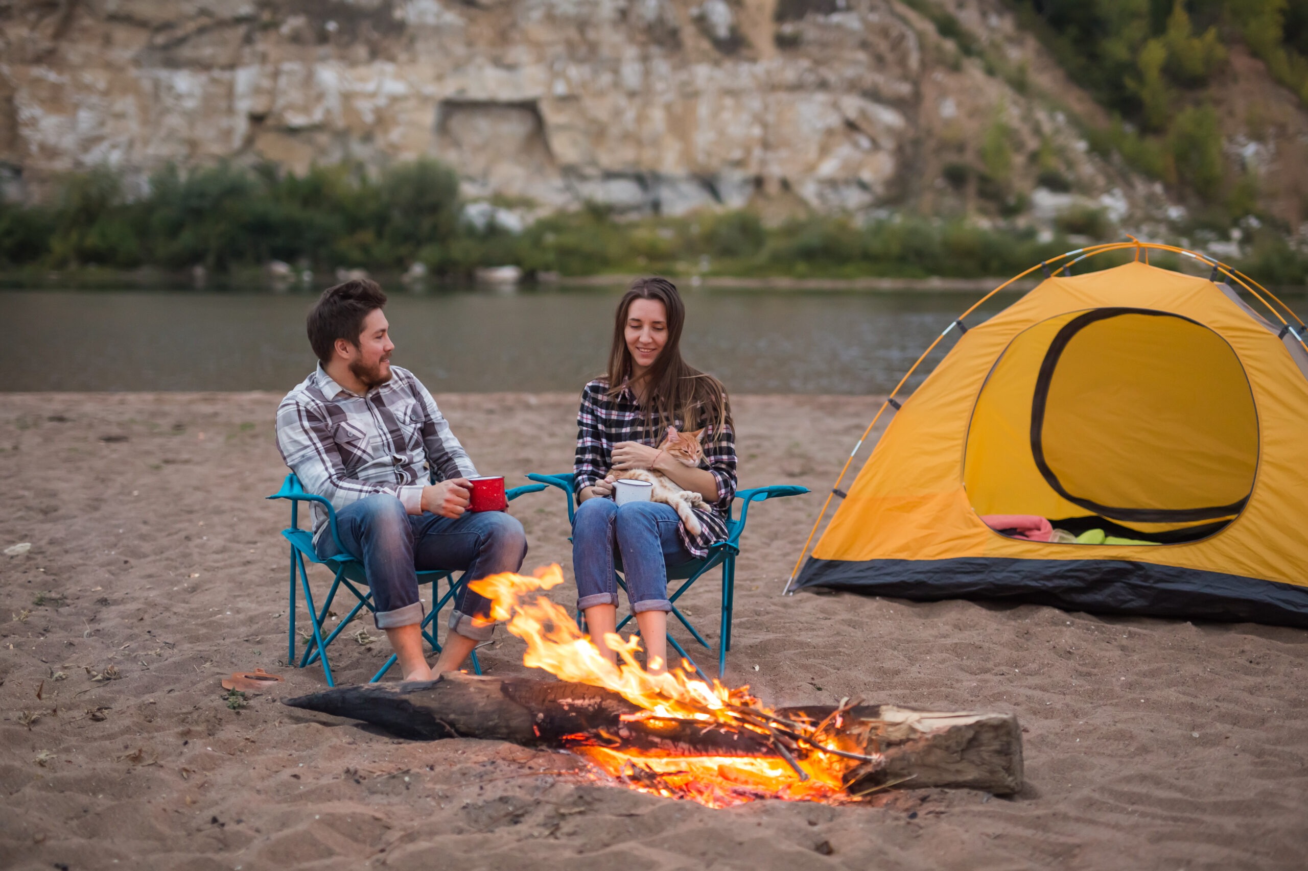 Unterwegs mit Katze, Sicher unterwegs mit Katze: Tipps f&uuml;r Reisen und Ausfl&uuml;ge