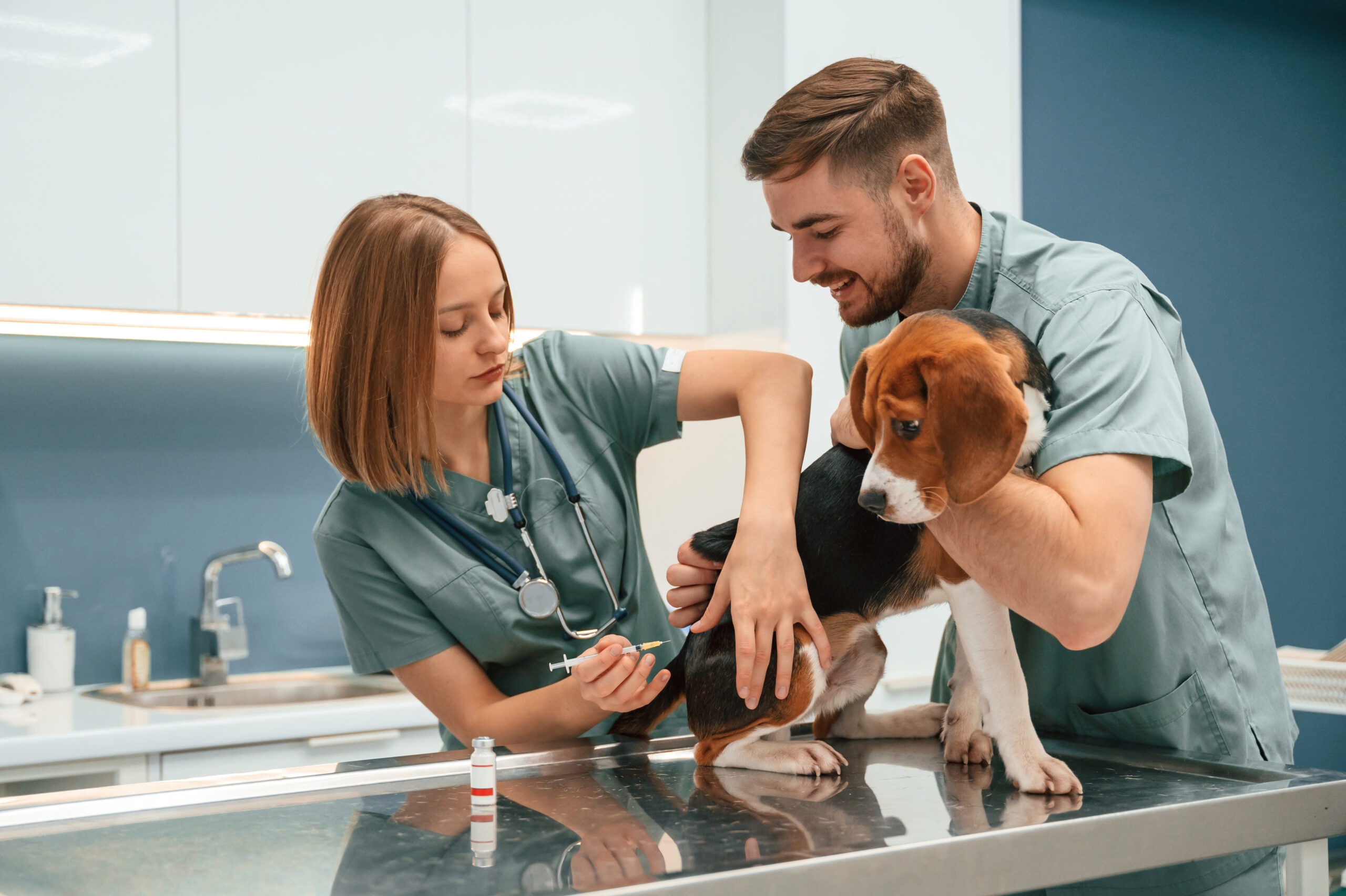 Impfungen für Hunde: Welche sind wirklich wichtig? 1 Impfungen für Hunde, Impfungen für Hunde: Welche sind wirklich wichtig?