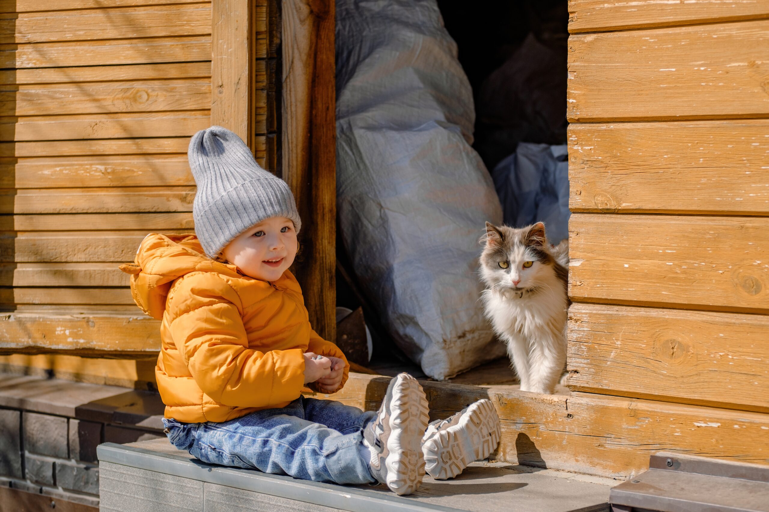 Katzen und Kinder, Katzen und Kinder &ndash; So gelingt das harmonische Zusammenleben von Anfang an