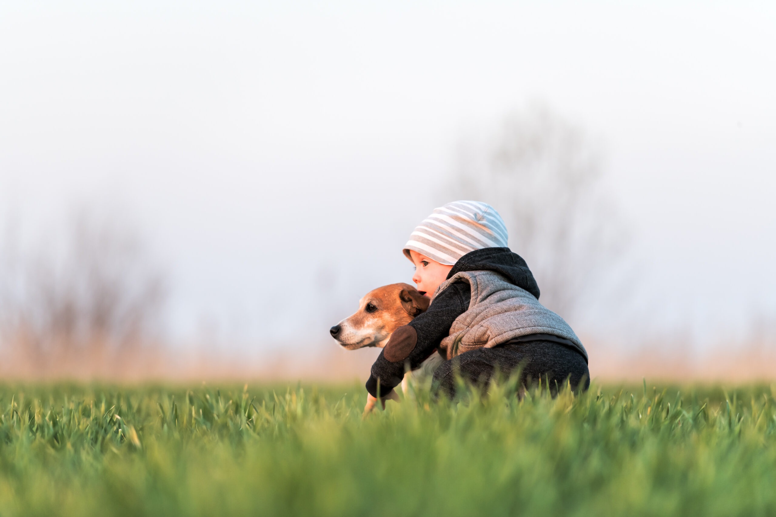 Hund und Baby, Hund und Baby &ndash; So gelingt das Zusammenleben von Anfang an