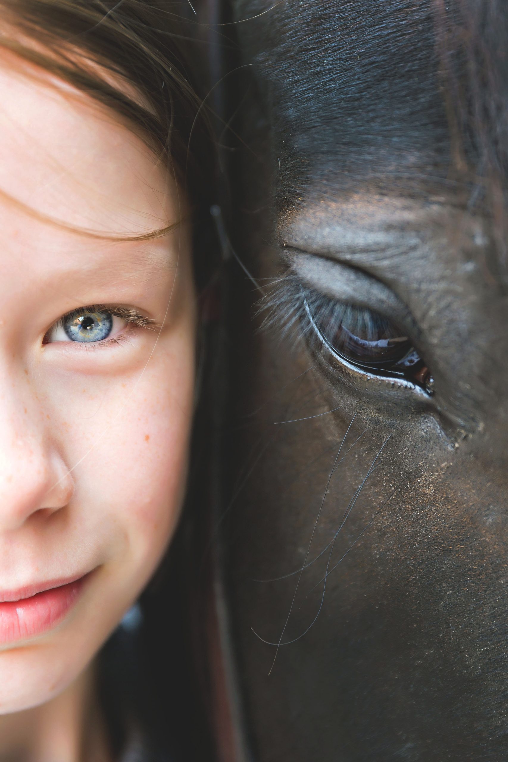 reiterunfallversicherung unfallversicherung pferdeversicherung reiterunfall versicherung